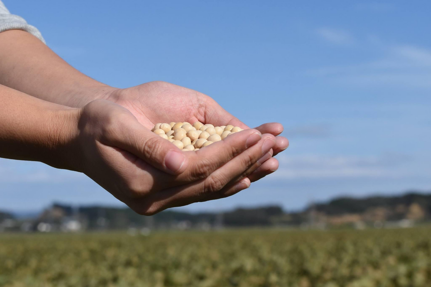 ⼿作り味噌キット/初めて作るカンタンオーガニック味噌 - カネサオーガニック味噌工房